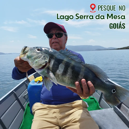 pesca e lazer no serra da mesa, pesca esportiva no rancho tucuna